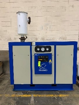 quincy2.jpg?width=350&v=